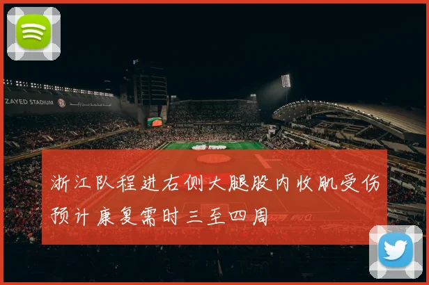 浙江队程进右侧大腿股内收肌受伤预计康复需时三至四周